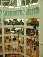 Shopping [ 6 images ]